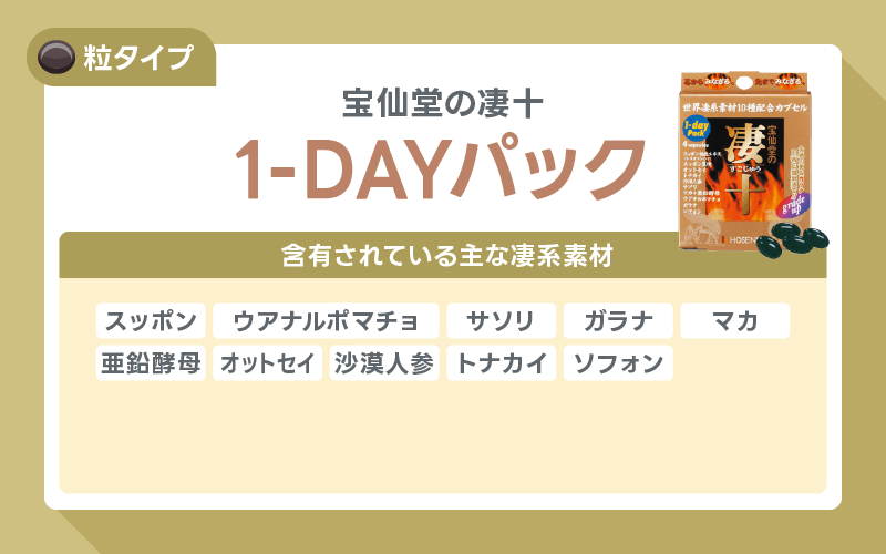 凄十 1-DAYパック