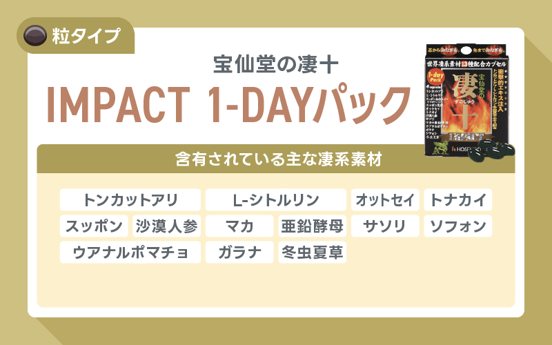 凄十 IMPACT 1-DAYパック